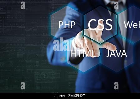 Web development. Man using button CSS on virtual screen, closeup Stock Photo