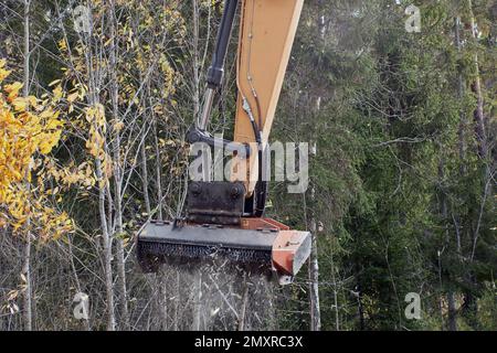 Land clearing equipment, forestry mulcher for excavator. Stock Photo