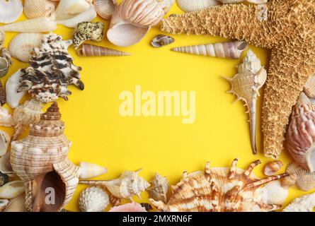 Frame of sea shells on yellow background, flat lay. Space for text Stock Photo