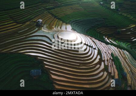 Mam Xoi view point, rice terrace flooded by water in Mu Cang Chai, Vietnam in rainy season Stock Photo