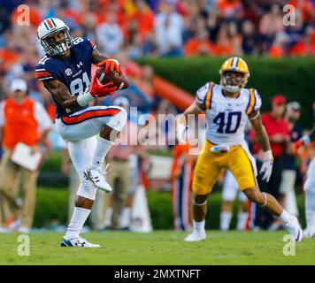 Auburn wide receiver Darius Slayton (81) catches a pass for a big gain ...