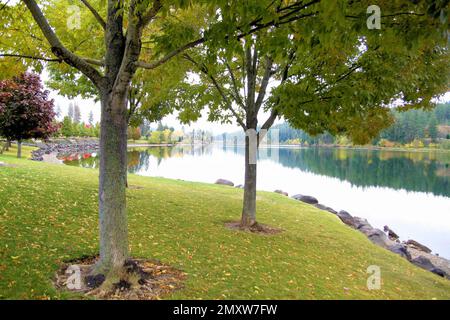 reflections on city park lake Stock Photo
