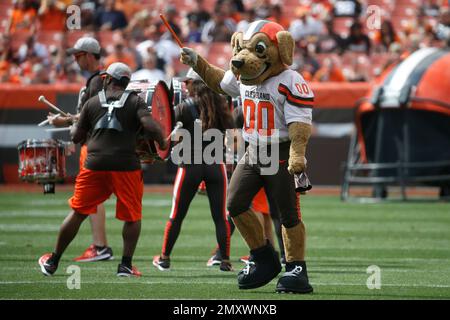 Chomps featured at the 2017 Mascot Games - Dawgs By Nature