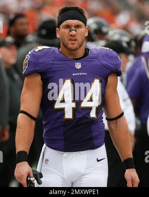 Ravens' Kyle Juszczyk selected to first Pro Bowl, Professional