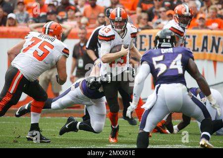 Baltimore Ravens defensive end Brent Urban (97) in action against the New  York Jets during an NFL football game, Sunday, Sep.11, 2022, in East  Rutherford, N.J.. (AP Photo/Rich Schultz Stock Photo - Alamy