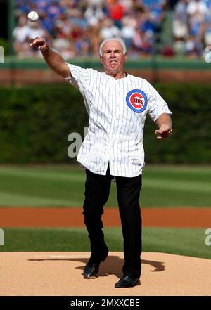 Randy Hundley  Chicago cubs baseball, Mlb chicago cubs, Cubs team