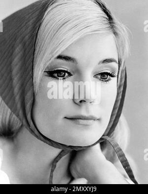 YVETTE MIMIEUX in THE WONDERFUL WORLD OF THE BROTHERS GRIMM (1962), directed by HENRY LEVIN. Credit: M.G.M. / Album Stock Photo