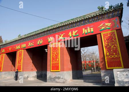 Beijing ditan temple fair during the Spring Festival in 2008 Stock Photo
