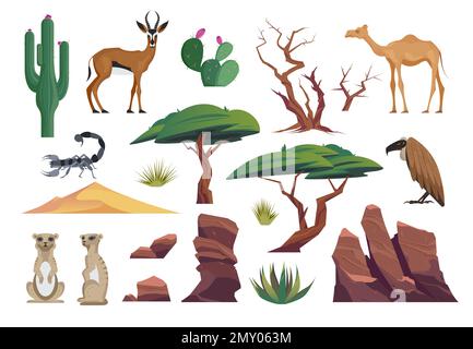 Desert animal set with isolated icons of sands cacti bushes trees wild animals bird and scorpio vector illustration Stock Vector