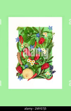 Plant based herbs for food decoration, edible wildflowers and spice seasoning background border. Healthy fresh nature design on green with white frame Stock Photo