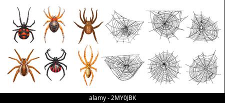 Realistic isolated spider web icon set with six spiders and different webs vector illustration Stock Vector