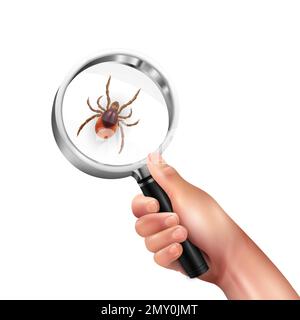 Realistic spider mite lens composition magnifying glass in a mans hand with mite vector illustration Stock Vector