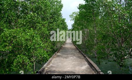 Long Jetty Road Made Of Concrete Over Sea Water, Surrounded By Avicennia Marina Forest, In Belo Laut Village On A Sunny Day Stock Photo