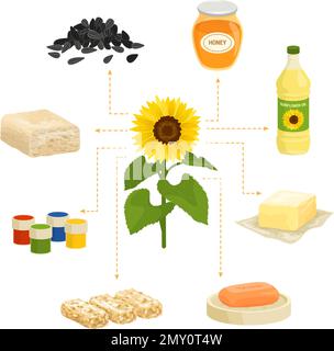 Technical flowers and plants composition with set of isolated products meal images with sunflower in flowchart vector illustration Stock Vector