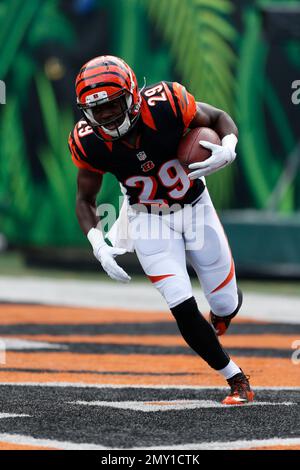 Cincinnati Bengals cornerback Tony McRae (29) after an NFL football  preseason game between the Indianapolis Colts and the Cincinnati Bengals at  Paul Brown Stadium in Cincinnati, OH. Adam Lacy/CSM Stock Photo 