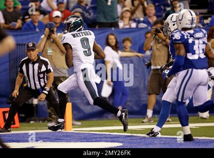 Seattle Seahawks tight end Jacob Hollister in action during an NFL football  game against the Philadelphia Eagles, Sunday, Nov. 24, 2019, in  Philadelphia. (AP Photo/Matt Rourke Stock Photo - Alamy