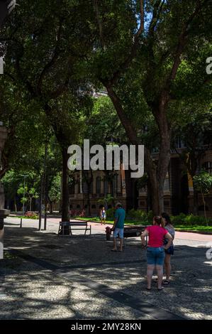 The wide promenade of Rio Branco avenue surrounded by green vegetation and tree shade right at National Museum of Fine Arts building in a sunny day. Stock Photo