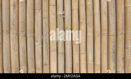 bamboo plank fence texture for background Stock Photo