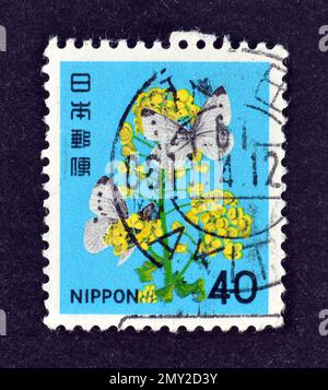 Cancelled postage stamp printed by Japan, that shows Flower and butterfly, Brassica napus and Pieris rapae, circa 1980. Stock Photo