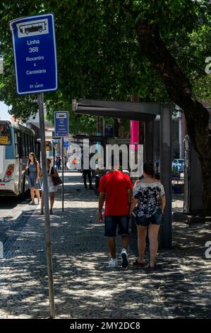 Many bus stops shelters under tree shade at the Candelaria bus terminal on Presidente Vargas avenue, nearby Candelaria church in a summer sunny day. Stock Photo