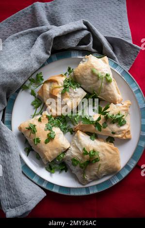 Greek style filo pastry parcels on plate with parsley dressing. Dishcloth and red background to dress. Stock Photo