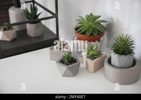 Different succulent plants in stylish flowerpots on white table indoors. Interior design Stock Photo