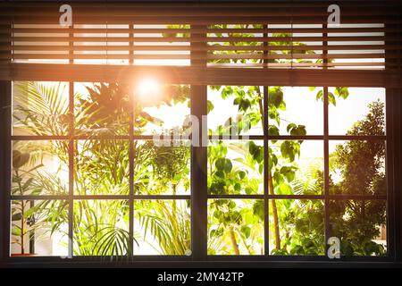 Sun shining through window with blinds in morning Stock Photo