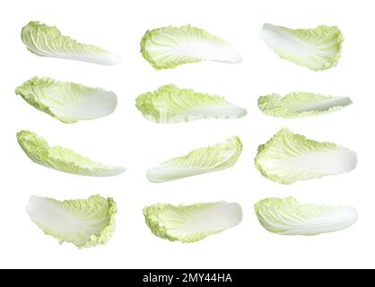 Fresh Chinese cabbage leaves on white background Stock Photo