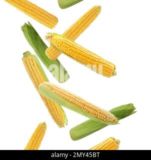 Ripe corn cobs falling on white background Stock Photo