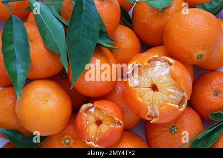 Mandarin oranges fruit with decorative peeled piece and with fresh leaves, detailed top view, close up photo. Group of tangerines fruits. Stock Photo