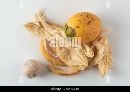 fresh and yellow husk areca nut, fruit of the areca palm, areca nut palm or betel palm, tropical and commercially important fruit isolated on white Stock Photo