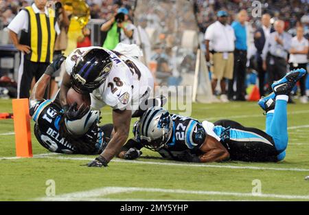 Baltimore Ravens defensive back Robert Jackson (17) runs for the play  during an NFL football game against the Cincinnati Bengals, Sunday, Dec.  26, 2021, in Cincinnati. (AP Photo/Emilee Chinn Stock Photo - Alamy