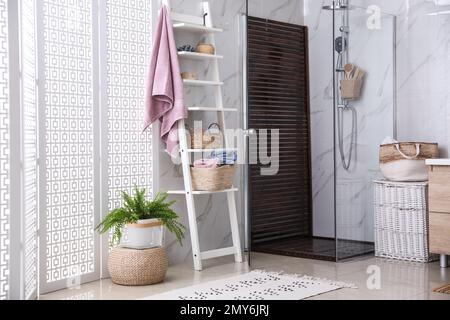 Bathroom interior with shower stall and shelving unit. Idea for design Stock Photo