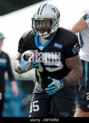 Carolina Panthers running back Jonathan Stewart, left, and full back Mike  Tolbert, right, watch as running back Brand…