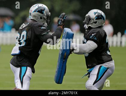 Carolina Panthers' Mike Tolbert, right, talks with running backs coach Jim  Skipper, left, during an NFL football practice at their training camp in  Spartanburg, S.C., Monday, July 28, 2014. (AP Photo/Chuck Burton