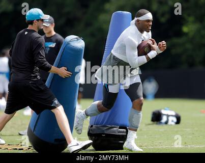 Carolina Panthers head coach Ron Rivera, left, signs an autograph before  the NFL football team's practice in Charlotte, N.C., Tuesday, Nov. 24,  2015. (AP Photo/Chuck Burton Stock Photo - Alamy