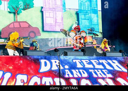 Lips, from left, Zoot, Animal, Floyd Pepper, and Janice of Dr. Teeth