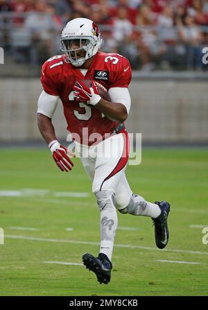 Arizona Cardinals David Johnson (31) smiles during an NFL football  organized team activity, Tuesday, May 30, 2017, at the Cardinals' training  facility in Tempe, Ariz. (AP Photo/Matt York Stock Photo - Alamy