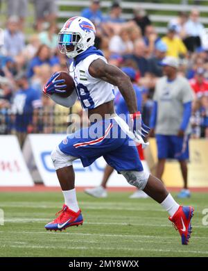 Buffalo Bills running back James Cook plays against the New England  Patriots during the first half of an NFL football game, Thursday, Dec. 1,  2022, in Foxborough, Mass. (AP Photo/Michael Dwyer Stock