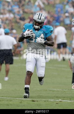 Carolina Panthers running back Cameron Artis-Payne (34) crosses the goal  line against New Orleans Saints cornerback Marshon Lattimore (23) on a  tcoudhown carry in the first half of an NFL football game