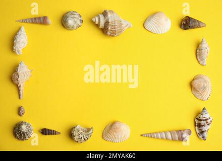 Frame made with different sea shells on yellow background, flat lay. Space for text Stock Photo