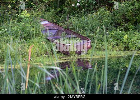 Weeds growing in an abandoned  rusty rowboat by a pond Stock Photo