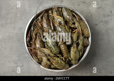 Fresh raw crayfishes on grey table, top view Stock Photo