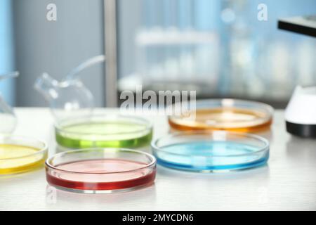 Petri dishes with liquid samples on table. Laboratory analysis Stock Photo