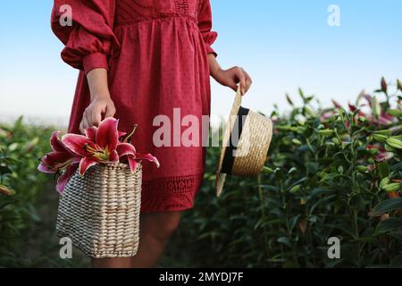 Woman holding wicker bag with lilies in flower field, closeup Stock Photo