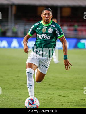 SÃO PAULO, SP - 13.03.2022: SANTOS X PALMEIRAS - Rony in the match