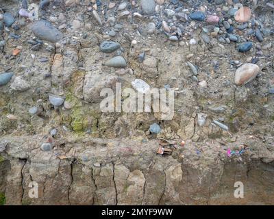 Layers of earth on a beach made of pebbles. Soil cut. Cobblestones and ...