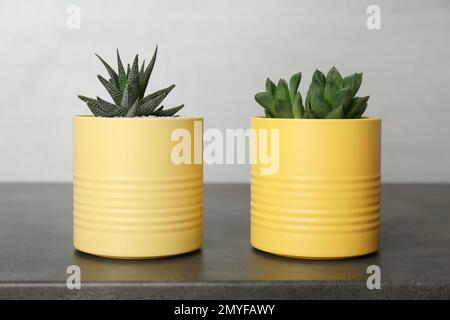 Houseplants in yellow tin cans on grey stone table Stock Photo