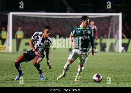 SÃO PAULO, SP - 04.02.2023: PALMEIRAS X SANTOS - Sandry in the match  between Palmeiras X Santos, valid for the 6th round of the Campeonato  Paulista de Futebol, Série A, 2023, held