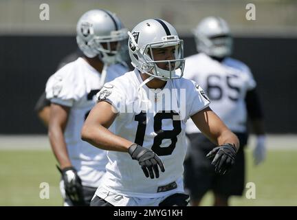 Oakland Raiders wide receiver Andre Holmes (18) during an NFL preseason  football game against the Arizona Cardinals, Friday, Aug. 12, 2016, in  Glendale, Ariz. (AP Photo/Rick Scuteri Stock Photo - Alamy